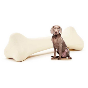   Bone Decorative Object | Oroa.com