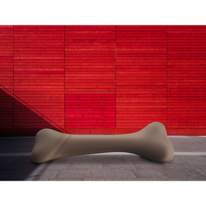   Bone Decorative Object | Oroa.com