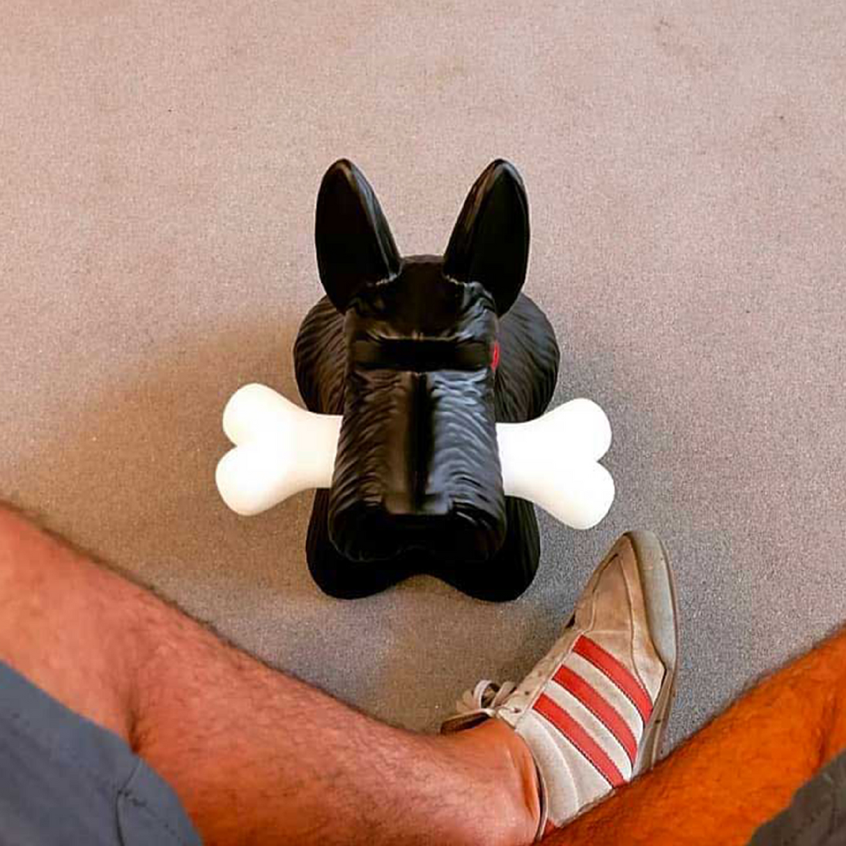   Decorative Dog Wireless Lamp | Oroa.com