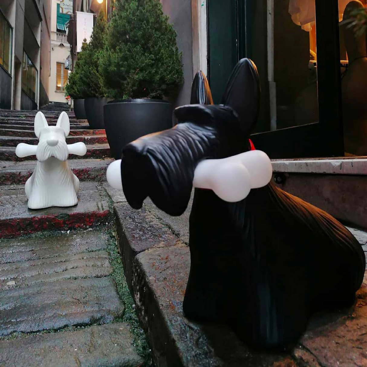   Decorative Dog Wireless Lamp | Oroa.com