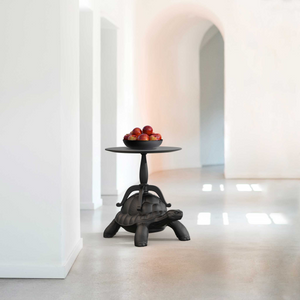   Modern Decorative Coffee Table | Oroa.com