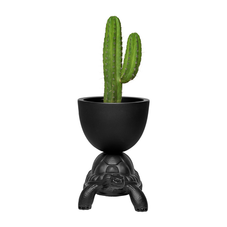   Modern Decorative Planter | Oroa.com