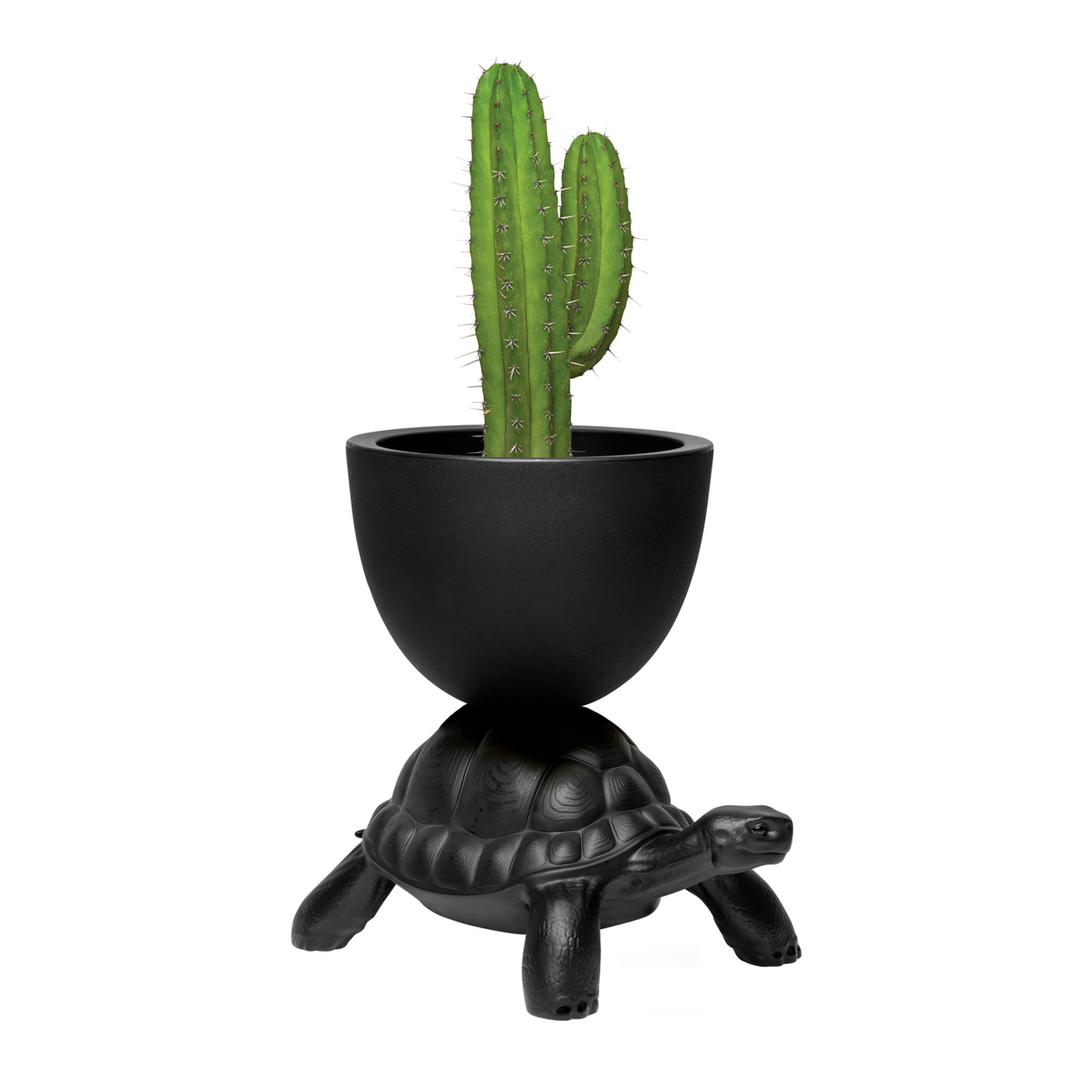   Modern Decorative Planter | Oroa.com