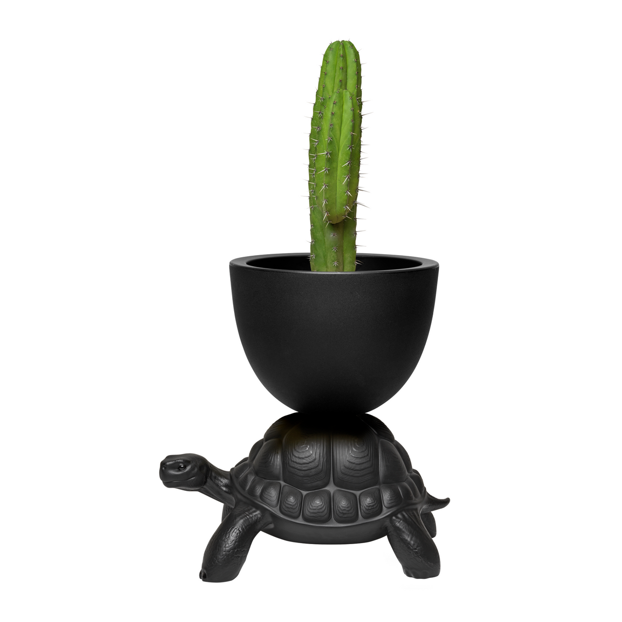   Modern Decorative Planter | Oroa.com