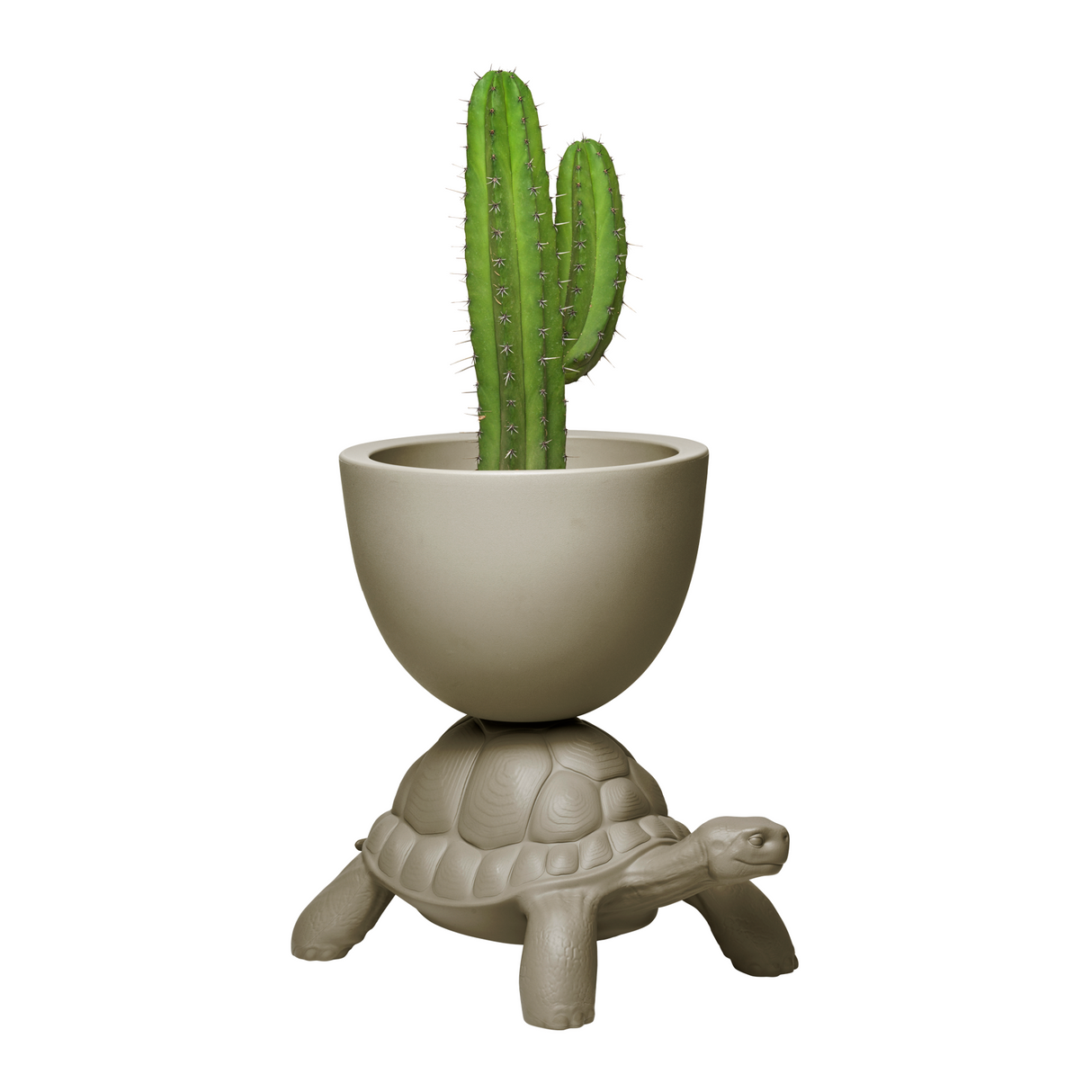   Modern Decorative Planter | Oroa.com