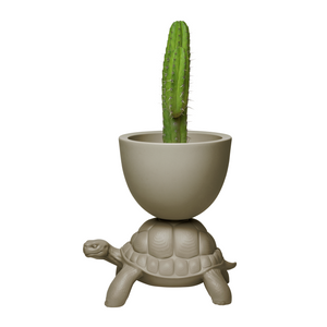   Modern Decorative Planter | Oroa.com