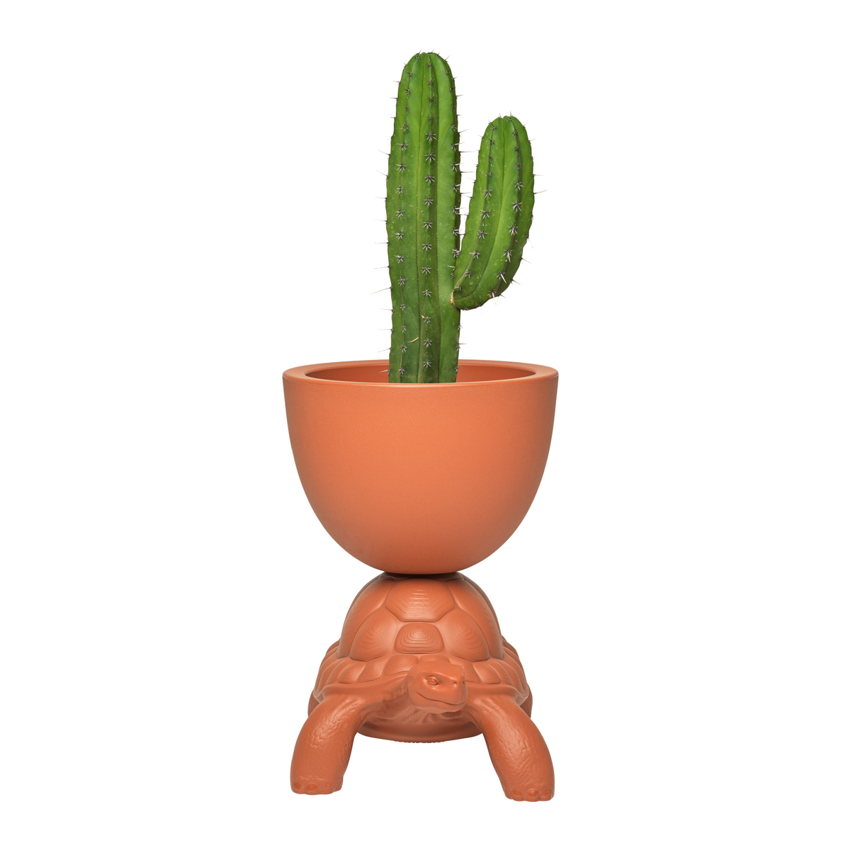   Modern Decorative Planter | Oroa.com