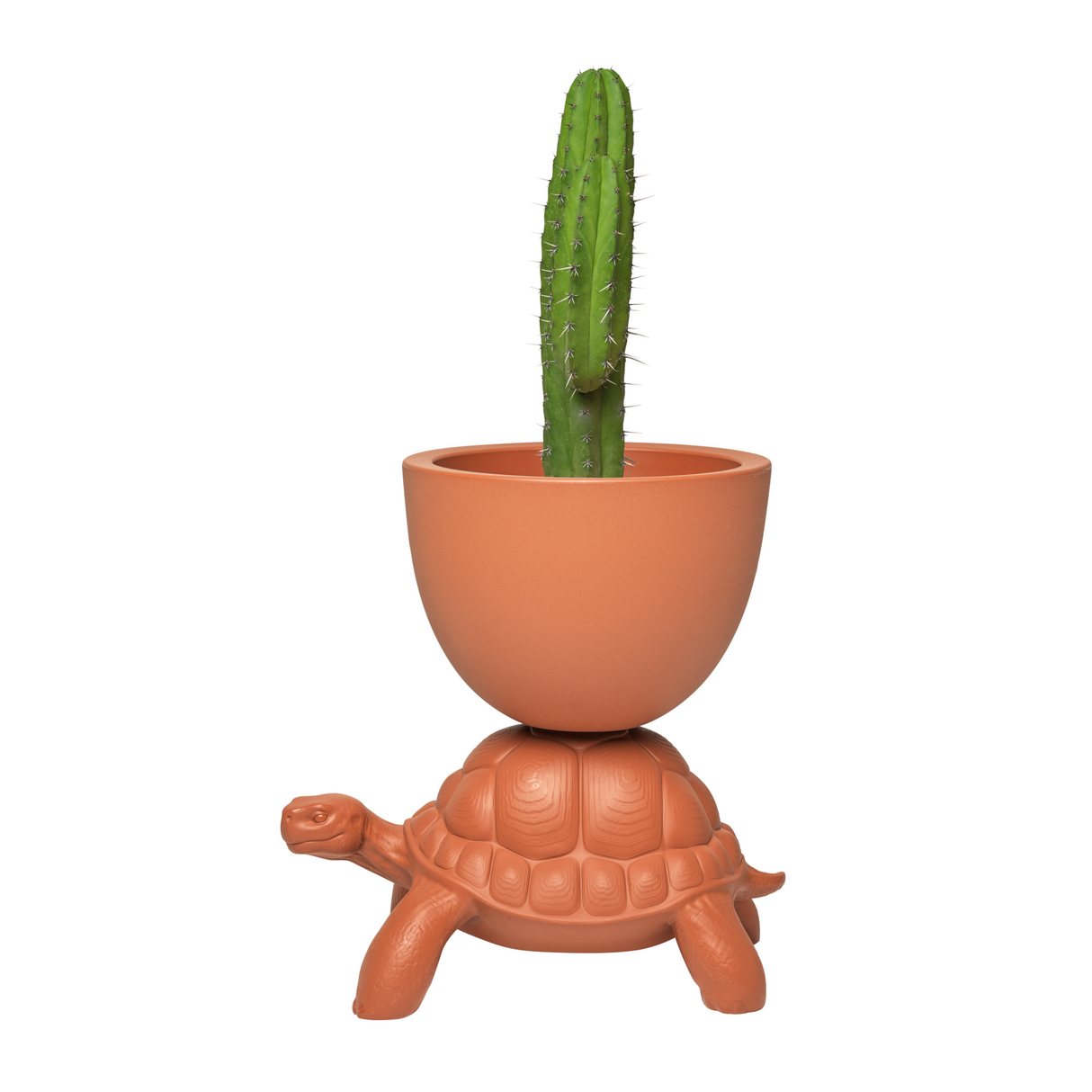   Modern Decorative Planter | Oroa.com