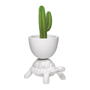   Modern Decorative Planter | Oroa.com