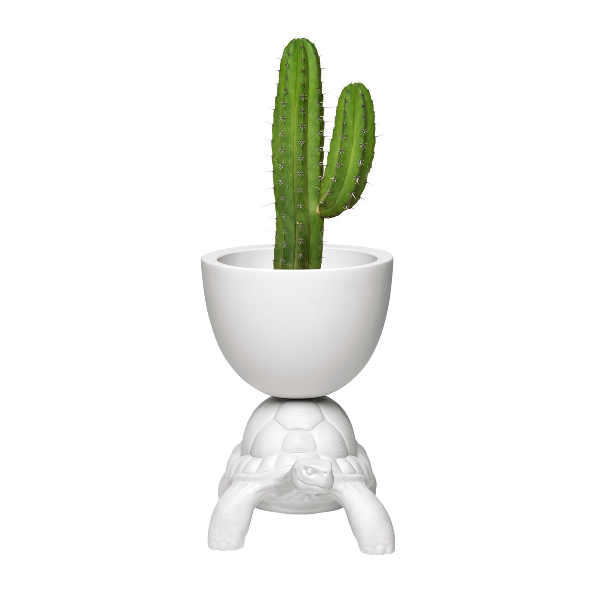   Modern Decorative Planter | Oroa.com