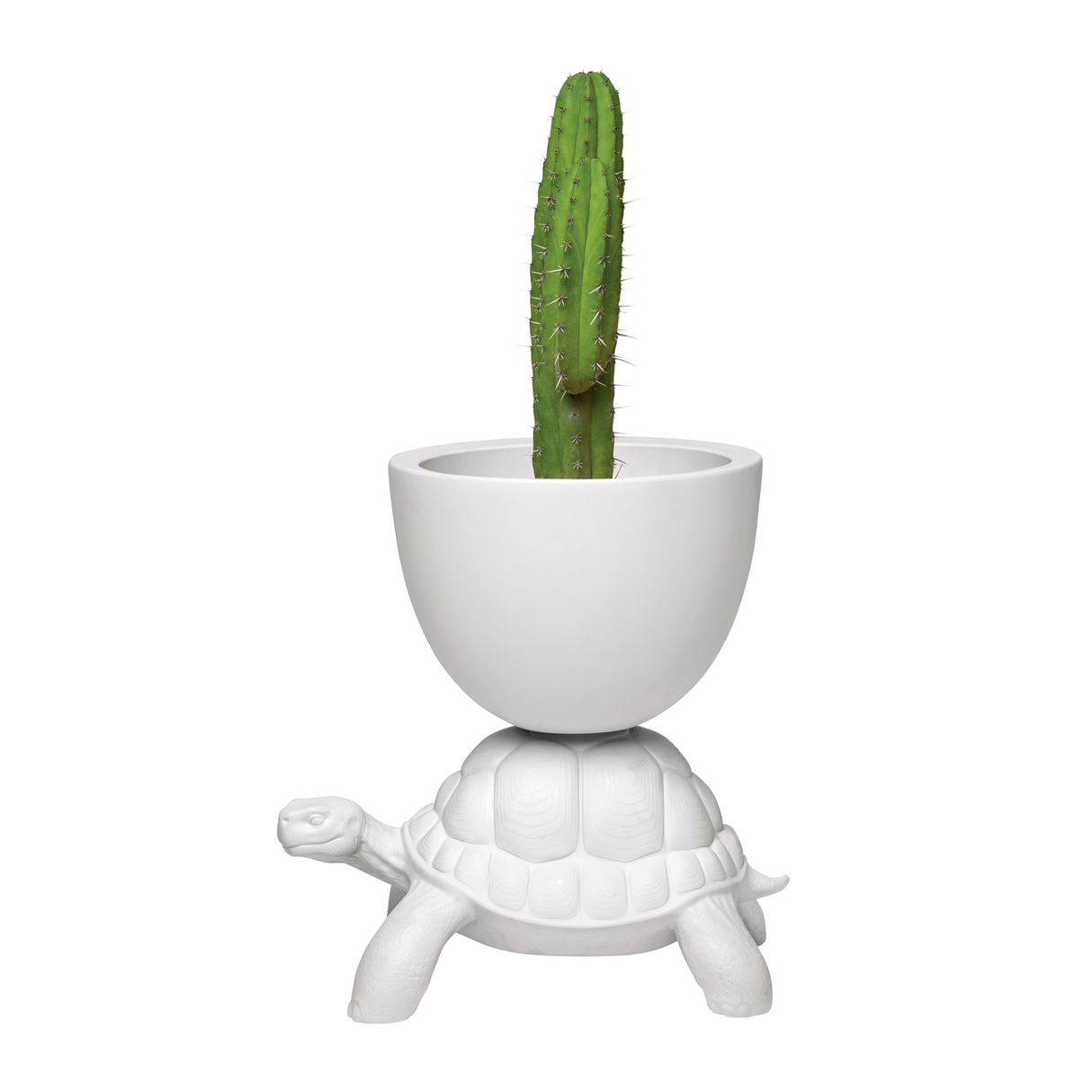   Modern Decorative Planter | Oroa.com