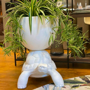   Modern Decorative Planter | Oroa.com
