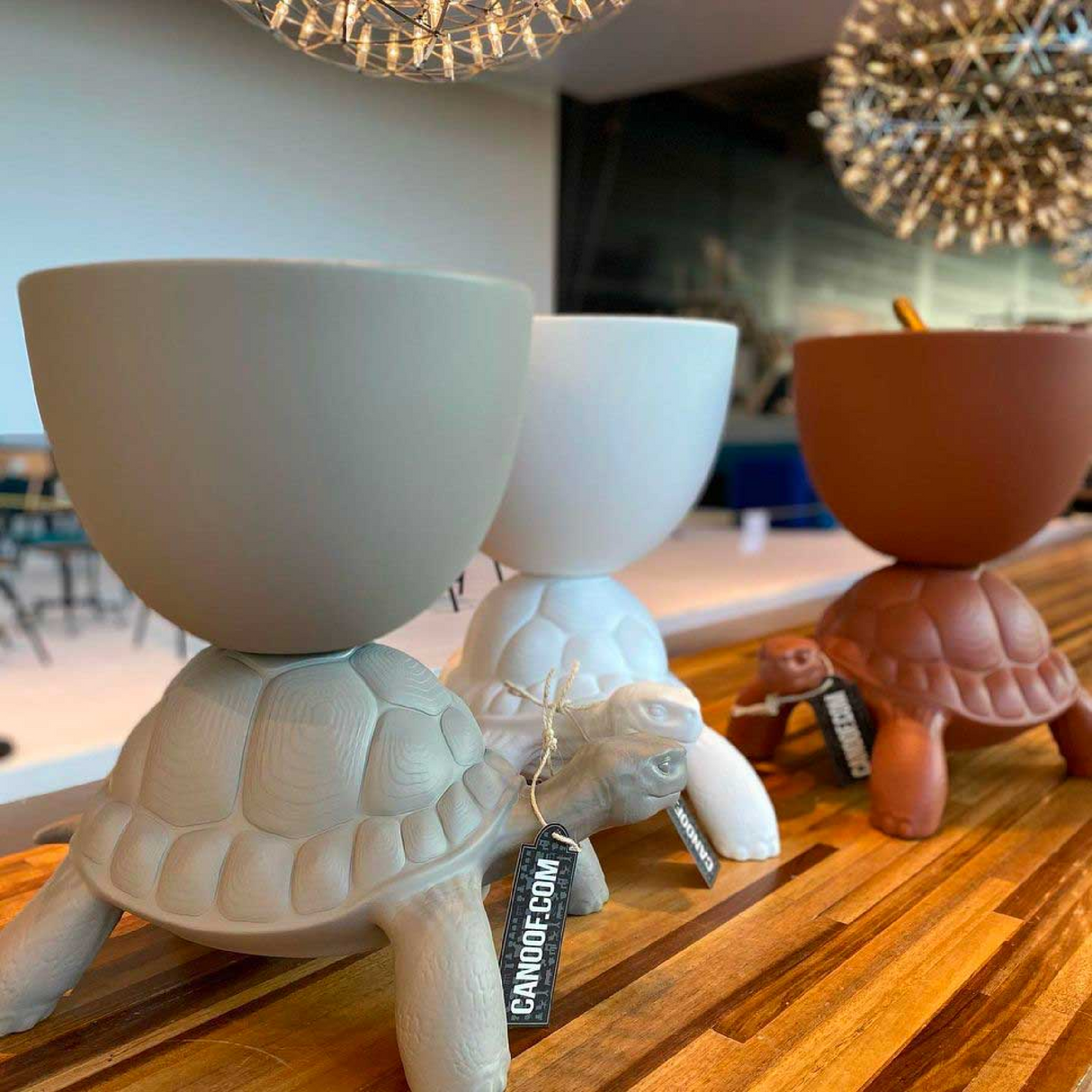   Modern Decorative Planter | Oroa.com