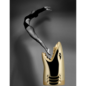   Shark-Shaped Multipurpose Holder | Oroa.com