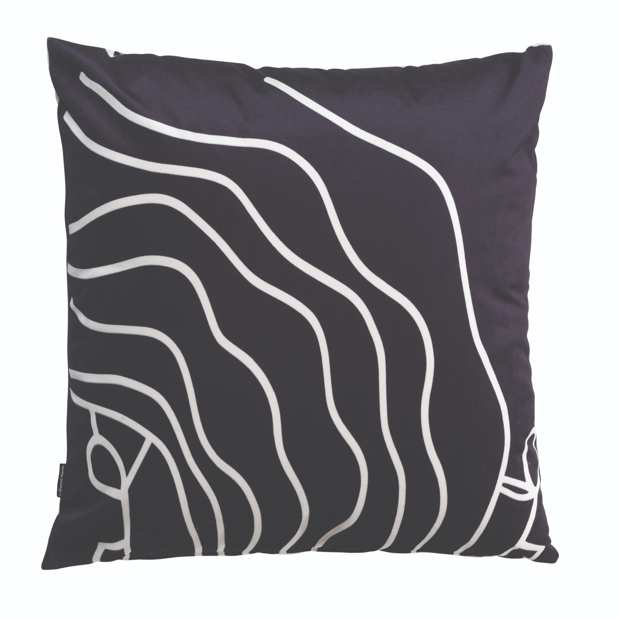   Graphic Design Pillow | Oroa.com