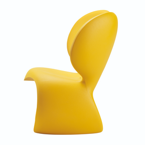   Modern Indoor/Outdoor Accent Chair | Oroa.com