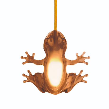   Sculptured Table/Wall Lamp | Oroa.com