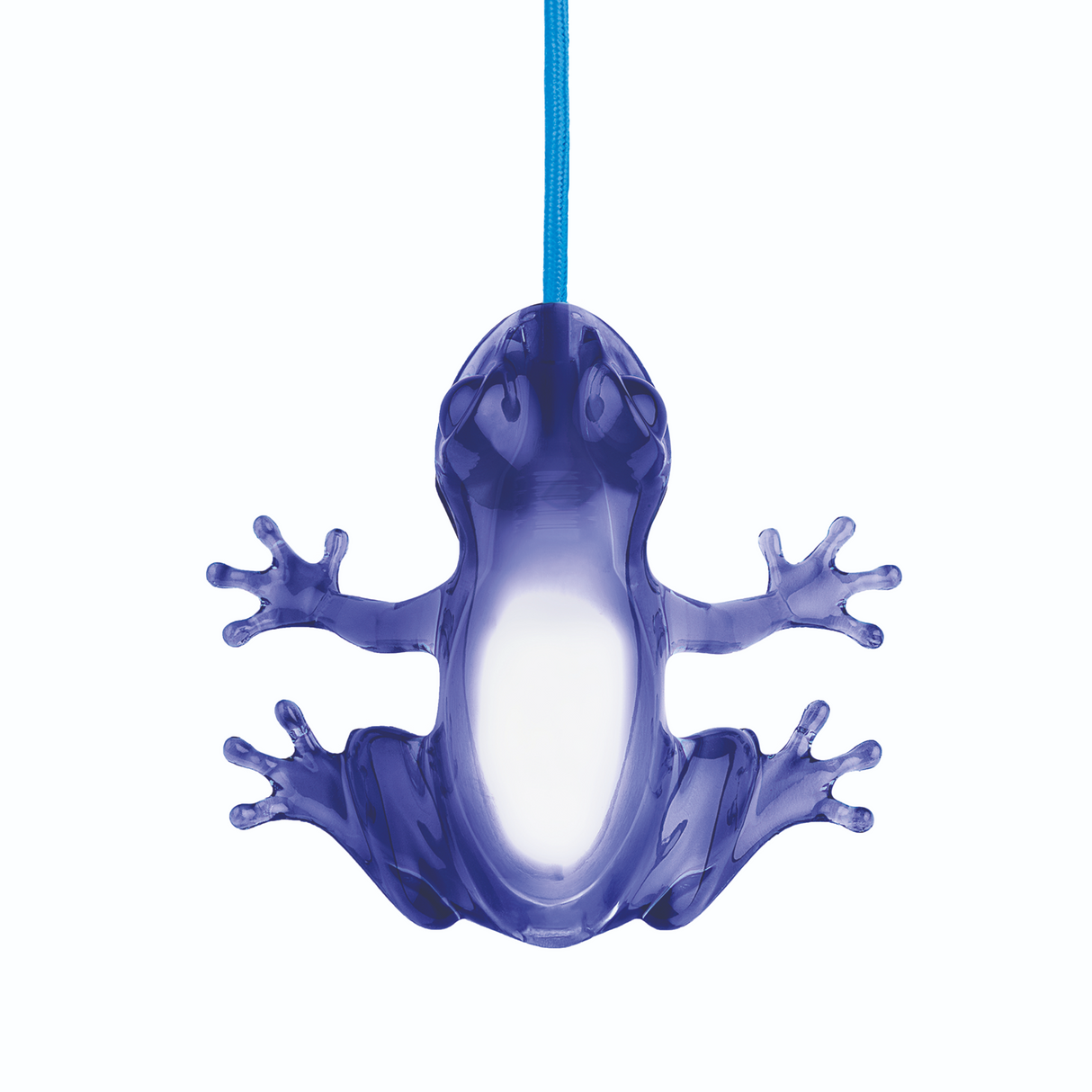   Sculptured Table/Wall Lamp | Oroa.com