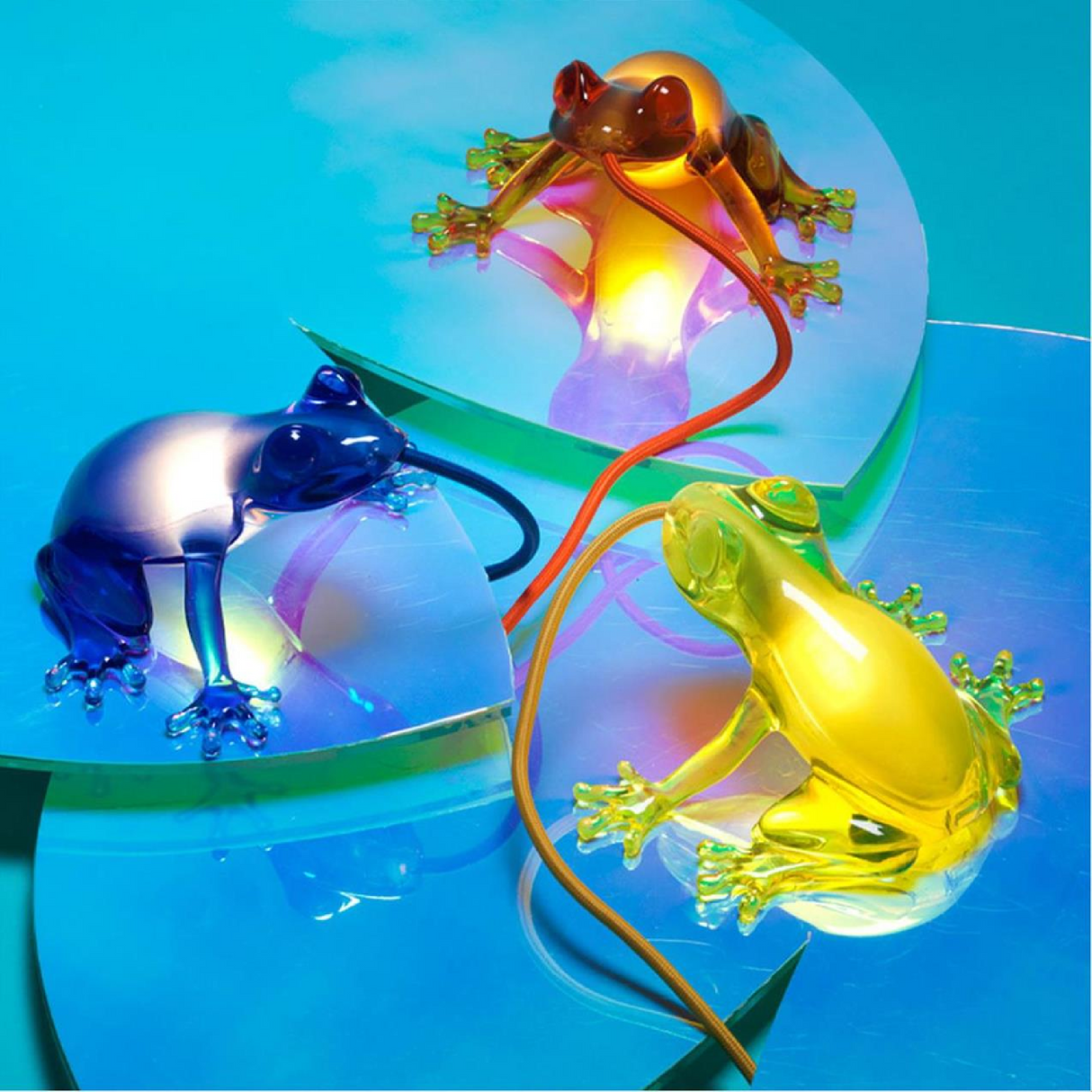   Sculptured Table/Wall Lamp | Oroa.com