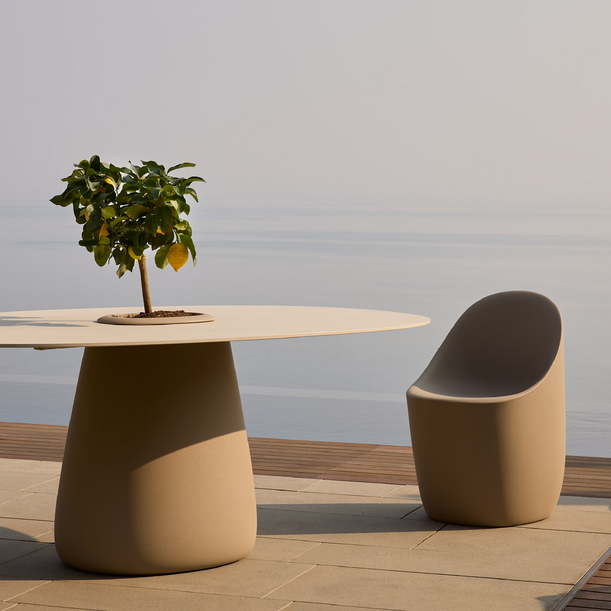   Modern Minimalist Chair | Oroa.com
