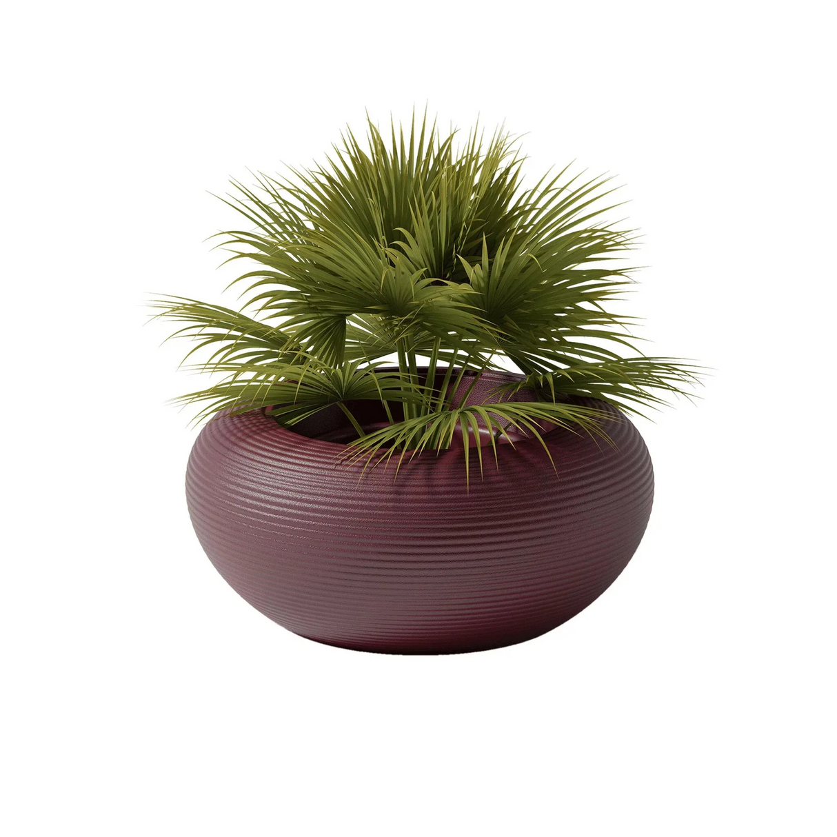   Round Minimalist Planter | Oroa.com