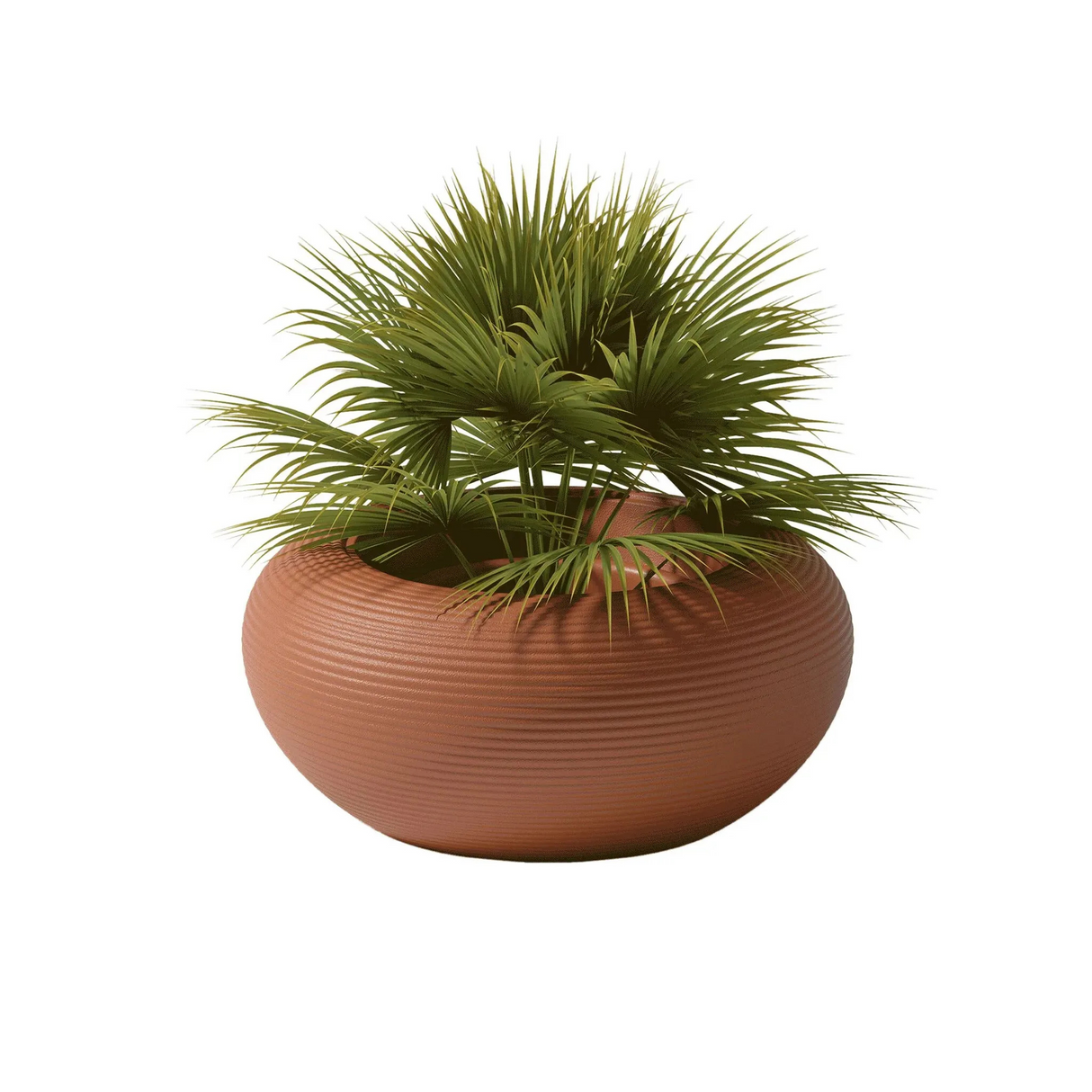   Round Minimalist Planter | Oroa.com