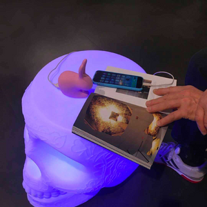   Skull Stool with Rechargeable LED Lamp | Oroa.com