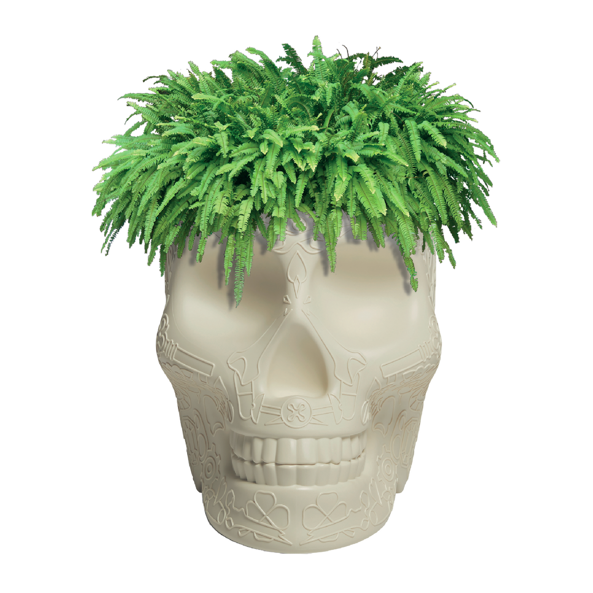  Skull-Shaped Planter Champagne Cooler | Oroa.com