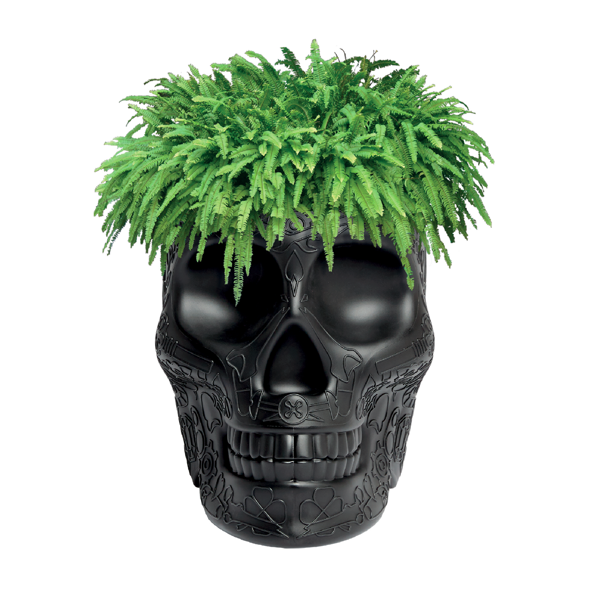   Skull-Shaped Planter Champagne Cooler | Oroa.com