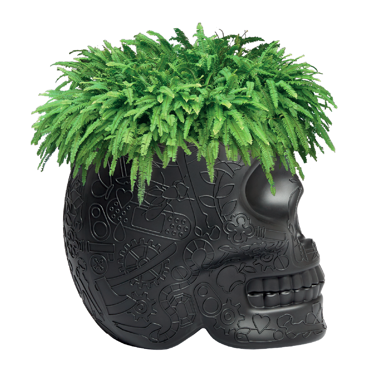   Skull-Shaped Planter Champagne Cooler | Oroa.com