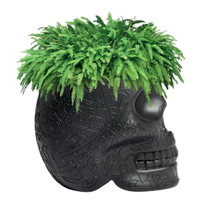   Skull-Shaped Planter Champagne Cooler | Oroa.com