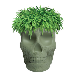   Skull-Shaped Planter Champagne Cooler | Oroa.com