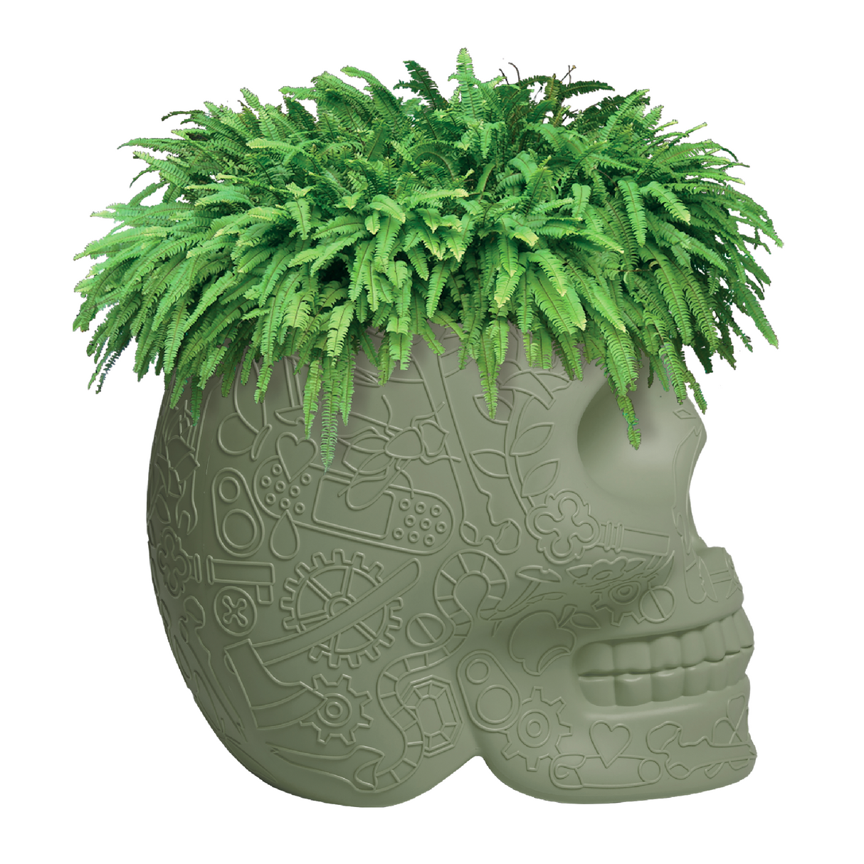   Skull-Shaped Planter Champagne Cooler | Oroa.com