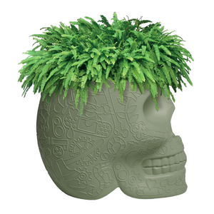   Skull-Shaped Planter Champagne Cooler | Oroa.com