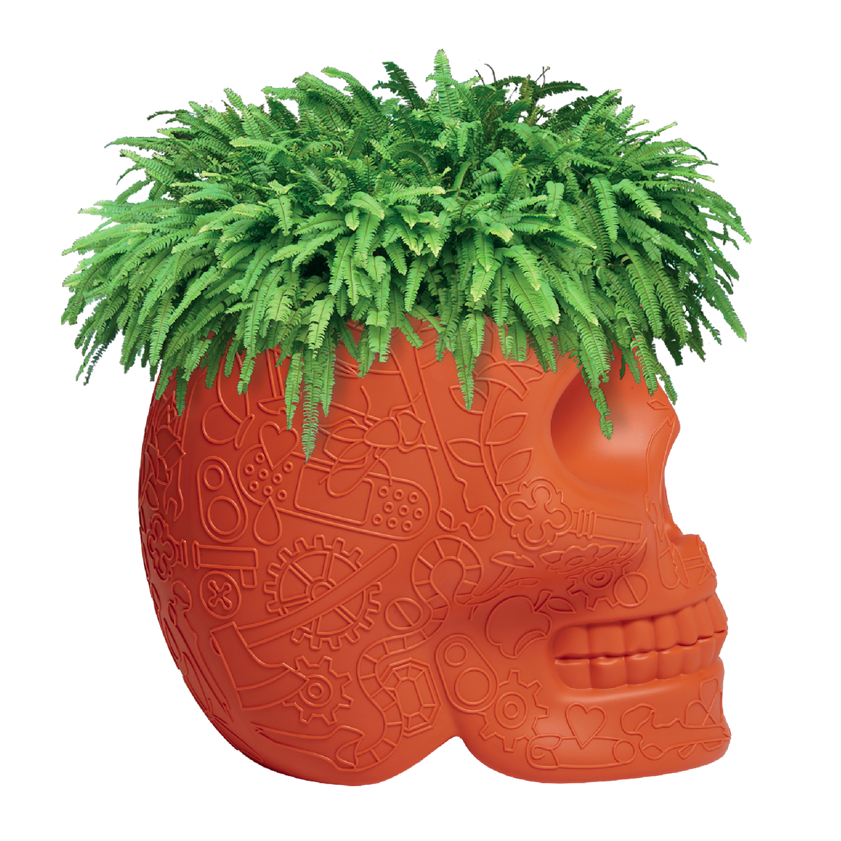   Skull-Shaped Planter Champagne Cooler | Oroa.com