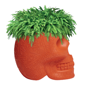   Skull-Shaped Planter Champagne Cooler | Oroa.com