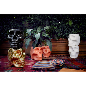   Skull-Shaped Planter Champagne Cooler | Oroa.com