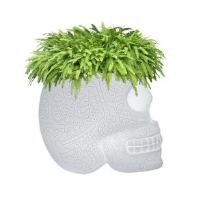   LED Planter & Champagne Cooler Lamp | Oroa.com