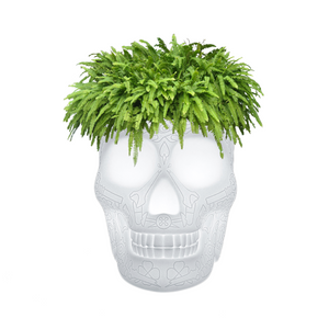   LED Planter & Champagne Cooler Lamp | Oroa.com
