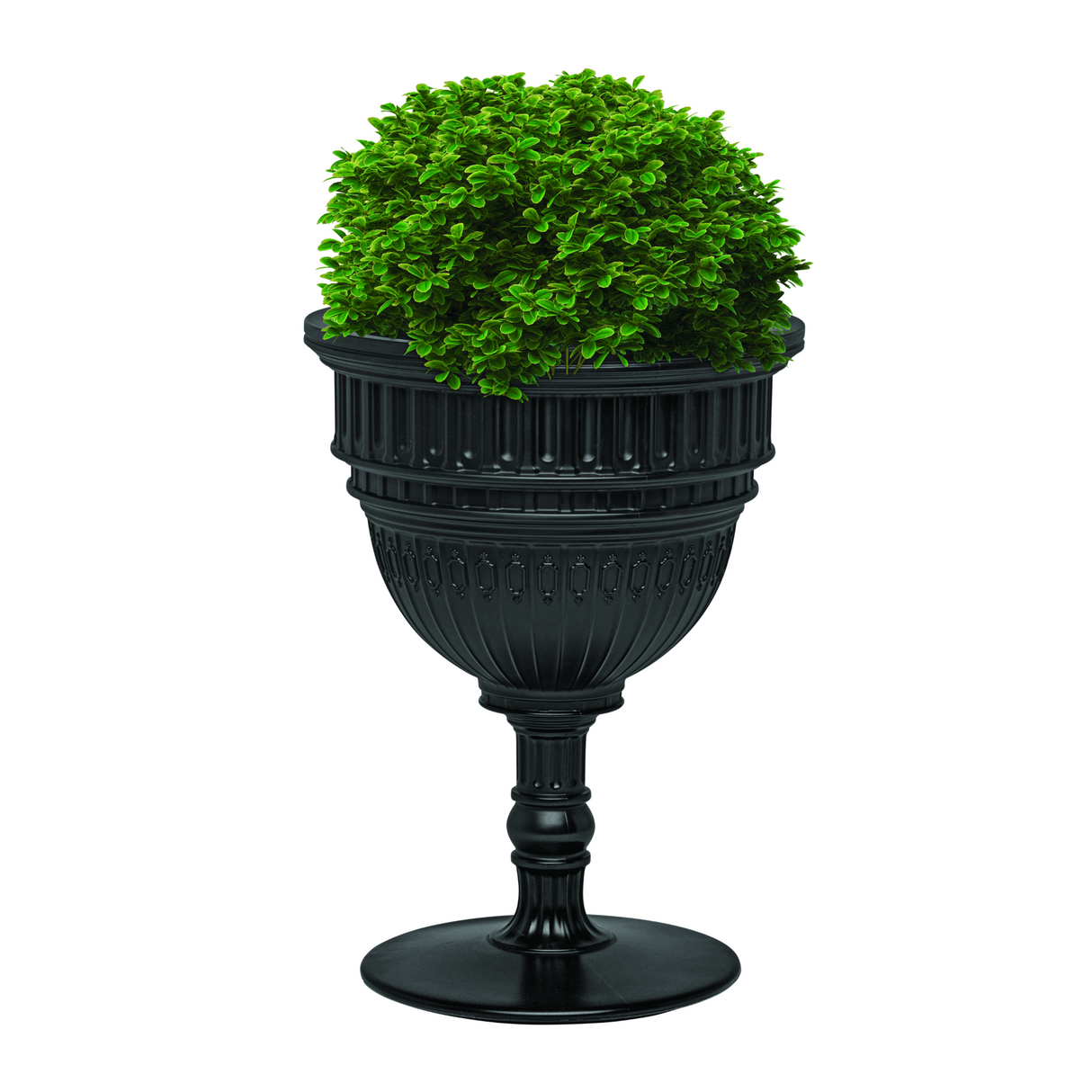   Classic Dome Planter & Champagne Cooler | Oroa.com
