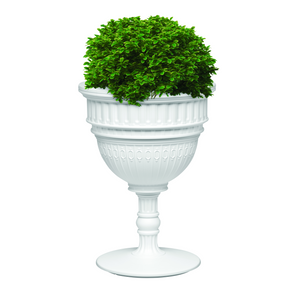  Classic Dome Planter & Champagne Cooler | Oroa.com