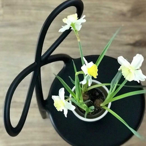  Bow Design Dining Chair | Oroa.com