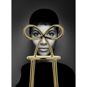   Modern Chic Dining Chair Set (2) | Oroa.com