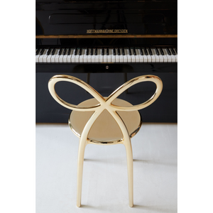   Modern Chic Dining Chair Set (2) | Oroa.com