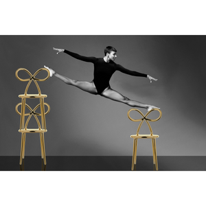   Modern Chic Dining Chair Set (2) | Oroa.com