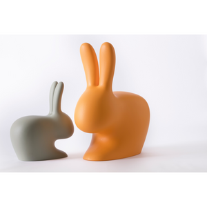   Molded Bunny Chair | Oroa.com