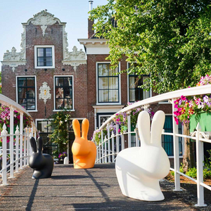   Molded Bunny Chair | Oroa.com