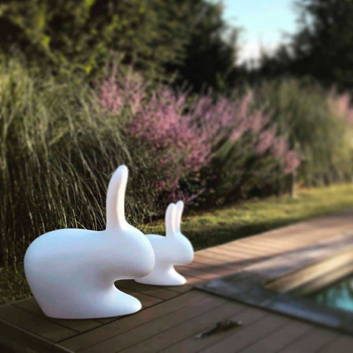   Molded Bunny Chair | Oroa.com
