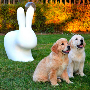   Molded Bunny Chair | Oroa.com