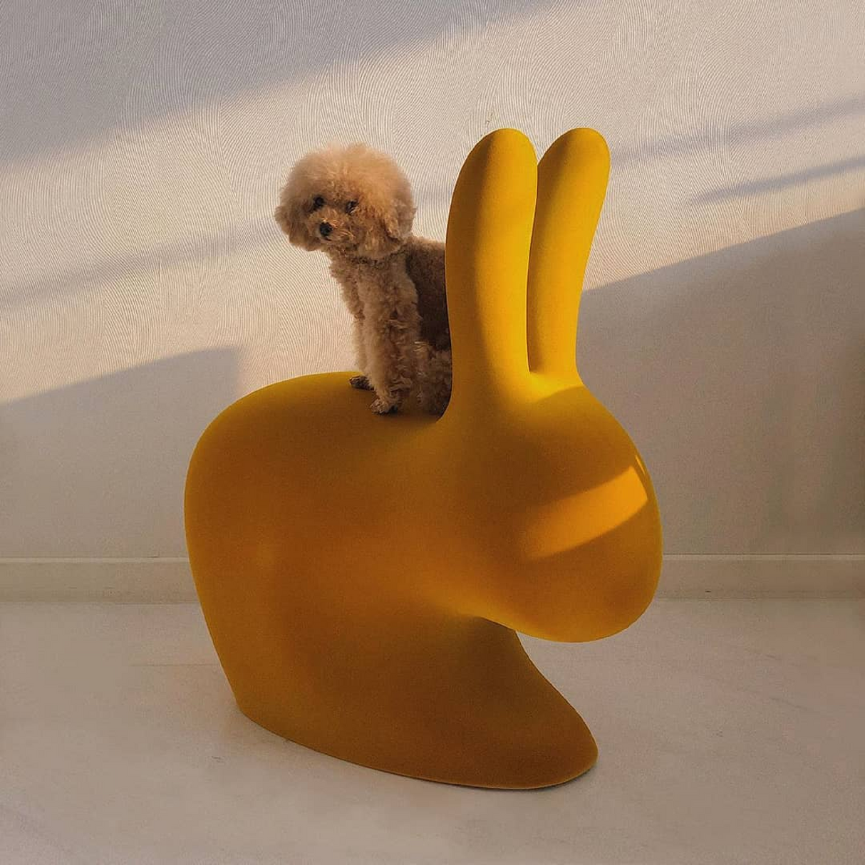   Velvet Bunny Accent Chair | Oroa.com